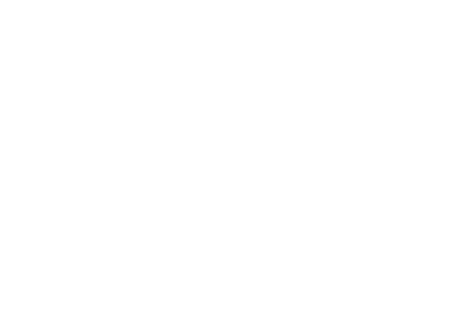 BVB / FREIE WÄHLER ELBE-ELSTER GESUNDER MENSCHENVERSTAND!